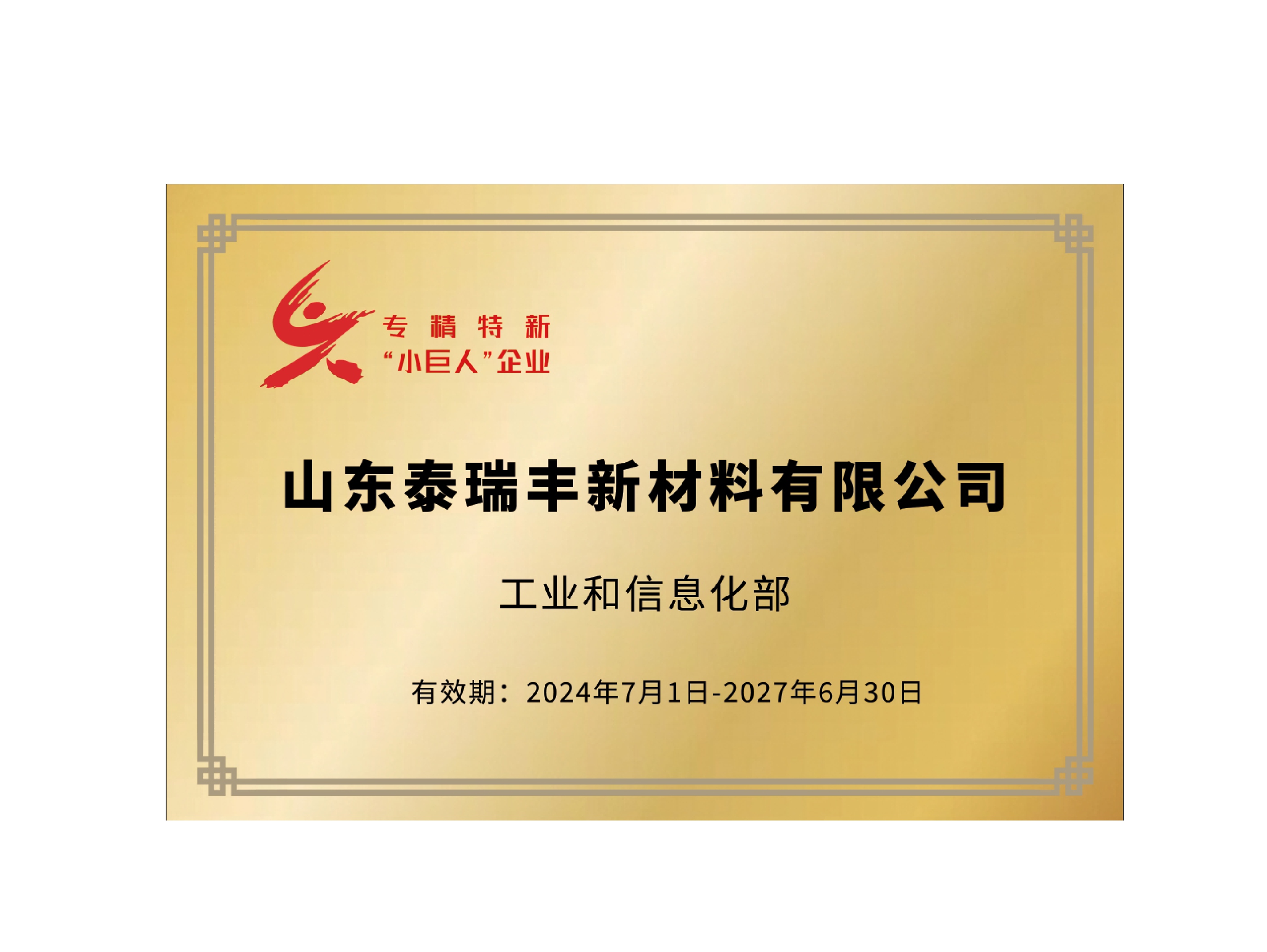 国家级专精特新小巨人